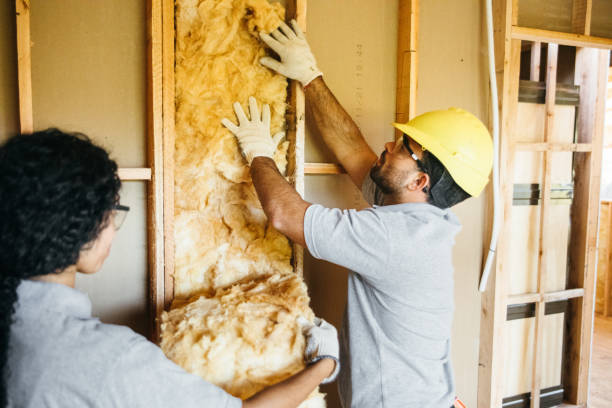 Best Affordable Insulation Services  in Wanamingo, MN